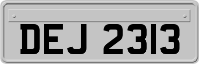 DEJ2313