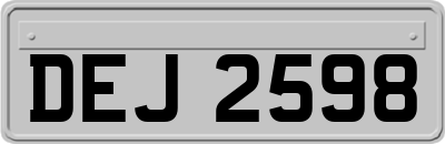 DEJ2598