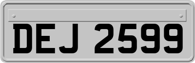 DEJ2599