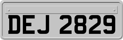 DEJ2829