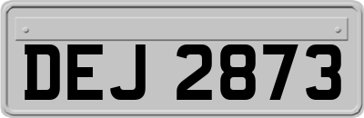 DEJ2873