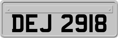 DEJ2918