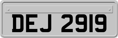 DEJ2919