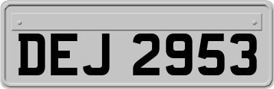 DEJ2953