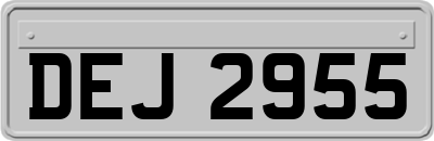 DEJ2955