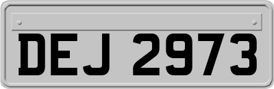DEJ2973