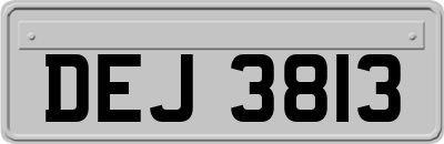 DEJ3813