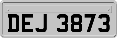 DEJ3873