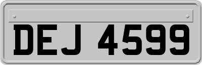 DEJ4599