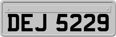DEJ5229