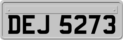 DEJ5273