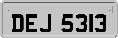 DEJ5313