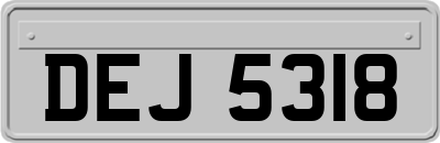 DEJ5318
