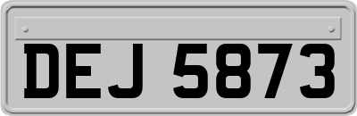DEJ5873