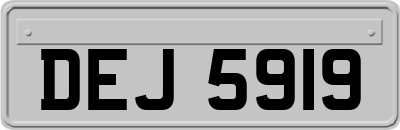 DEJ5919