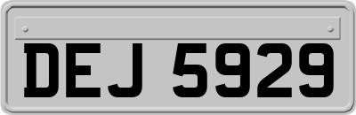 DEJ5929