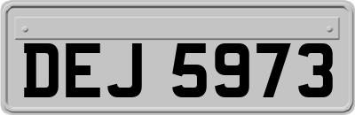 DEJ5973