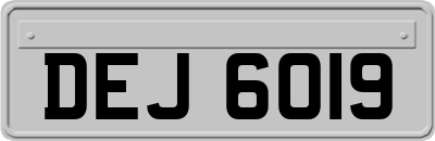 DEJ6019