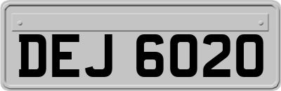 DEJ6020