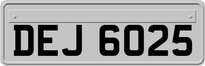 DEJ6025