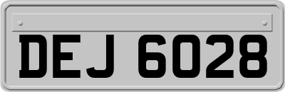DEJ6028