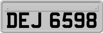 DEJ6598