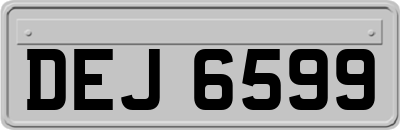 DEJ6599