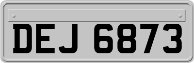 DEJ6873