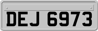 DEJ6973