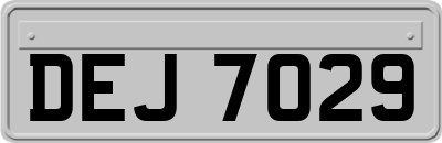 DEJ7029