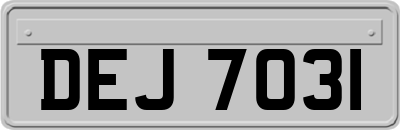 DEJ7031
