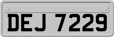 DEJ7229