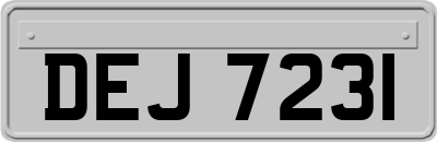 DEJ7231