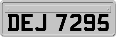 DEJ7295