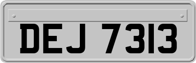 DEJ7313