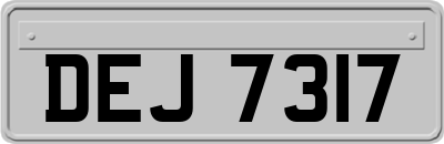 DEJ7317