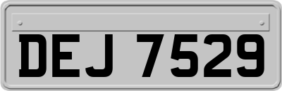 DEJ7529