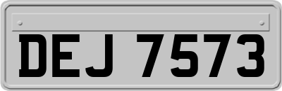 DEJ7573