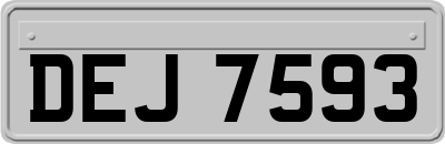 DEJ7593