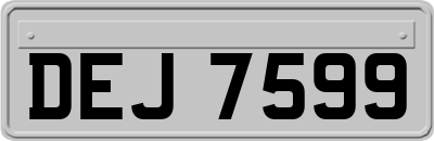 DEJ7599