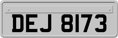 DEJ8173