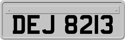 DEJ8213