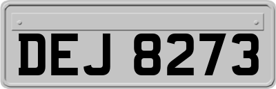 DEJ8273