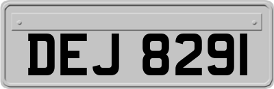 DEJ8291