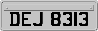 DEJ8313