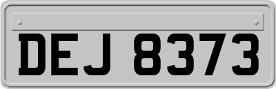 DEJ8373