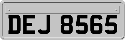 DEJ8565