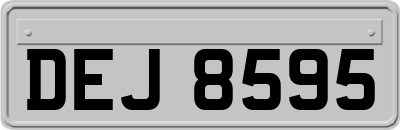 DEJ8595