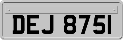 DEJ8751