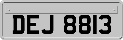 DEJ8813
